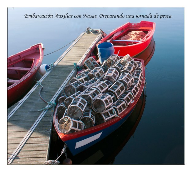 Fotografía: L.Vázquez-Prego