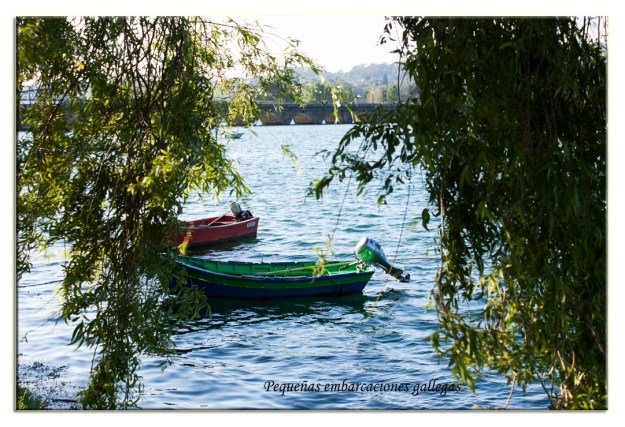 Fotografía: L.Vázquez-Prego