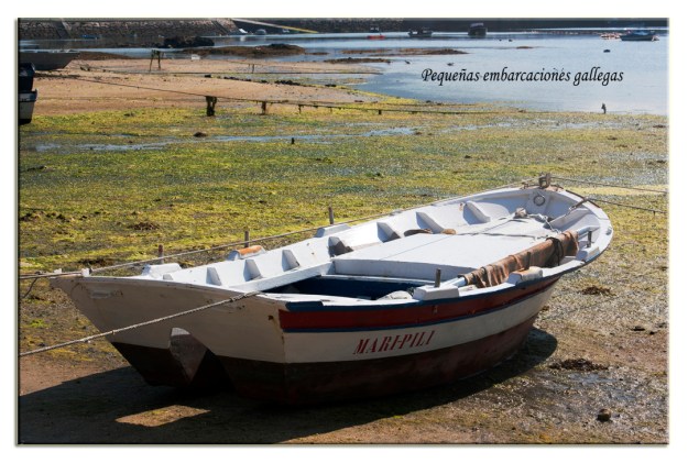 Fotografía: L.Vázquez-Prego