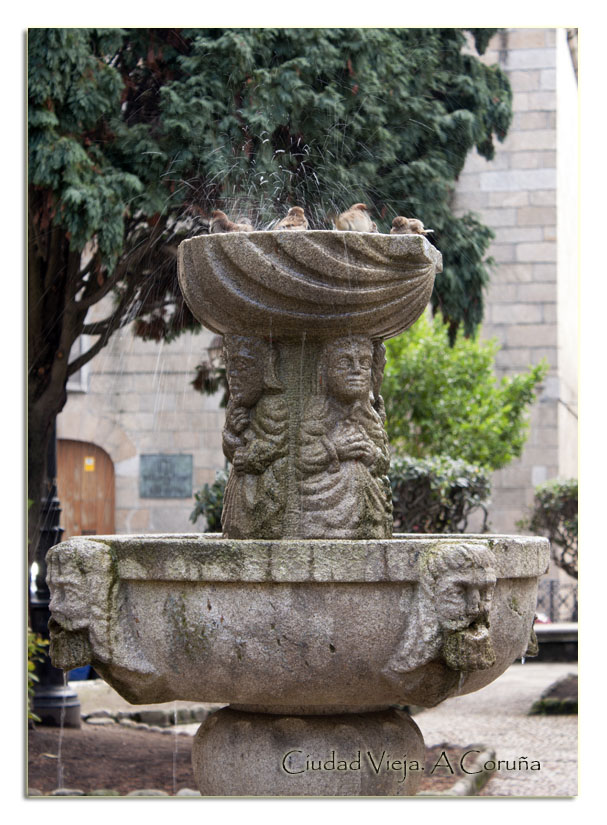 Fotografía: L.Vázquez-Prego