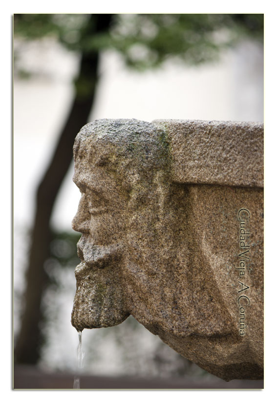 Fotografía: L.Vázquez-Prego