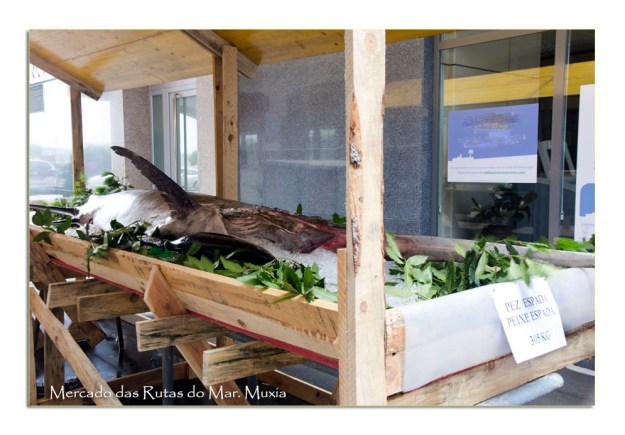 Fotografía: L.Vázquez-Prego