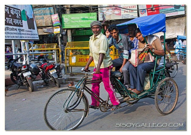 Mostrando su mejor pose.