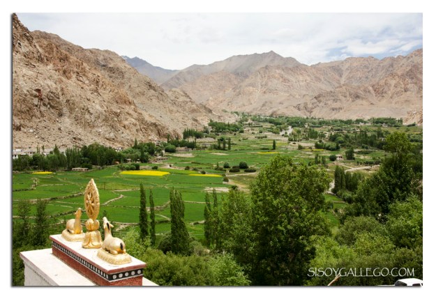 Valle regado por el rio Indo visto desde el Monasterio de Phayang