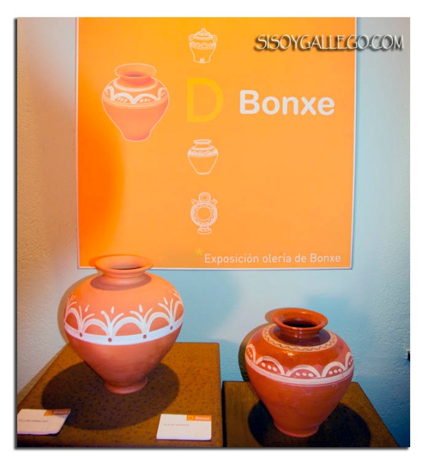 Museo Bonxe.Outeiro de Rei.Lugo