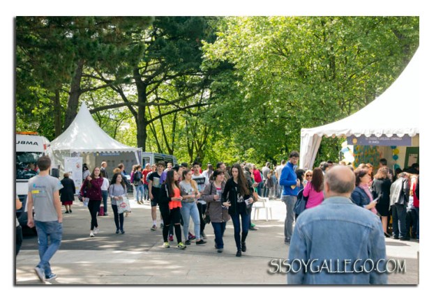 _Dia Ciencia calle 2015. Colegios
