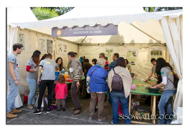 _Dia Ciencia calle 2015. UDC