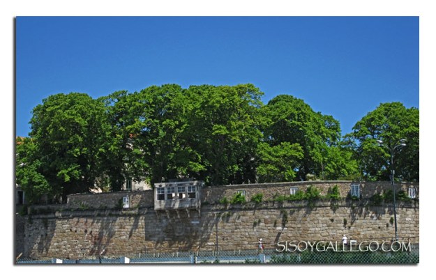 IMG_01.Jardin.S.Carlos