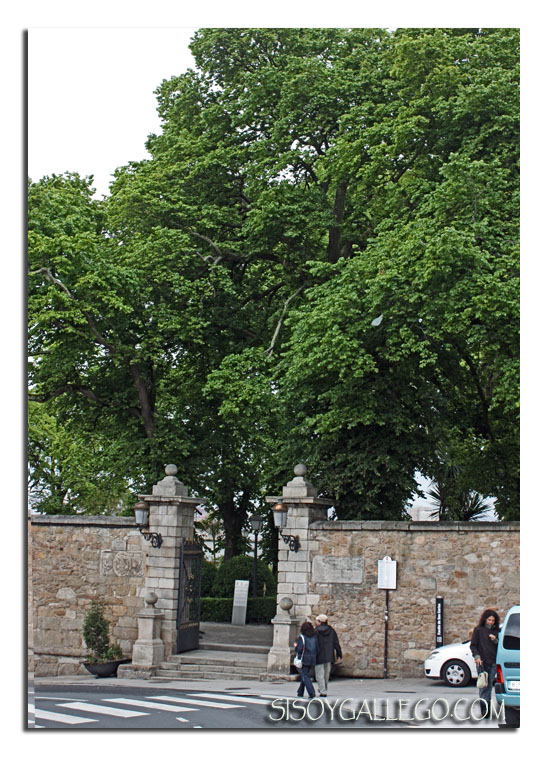 IMG_Entrada.J.San.Carlos.