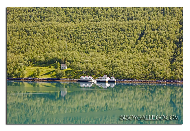 IMG_1681.Fiordo Holands