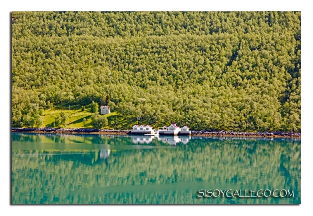 IMG_1681.Fiordo Holands