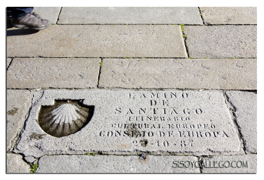 IMG_5166.Concha.Camino.Santiago