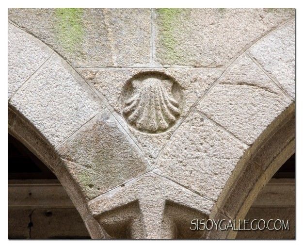 IMG_6010.Concha.de.Peregrino