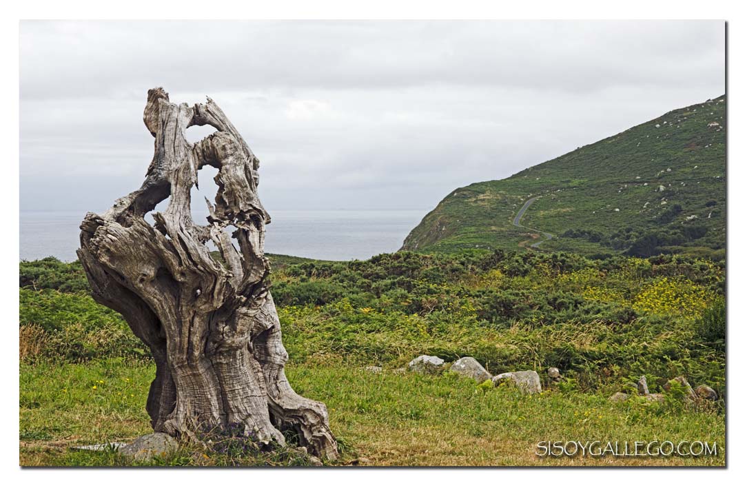 63_Bares.Camino.Semaforo