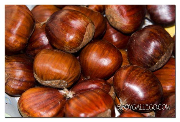 14_castanas