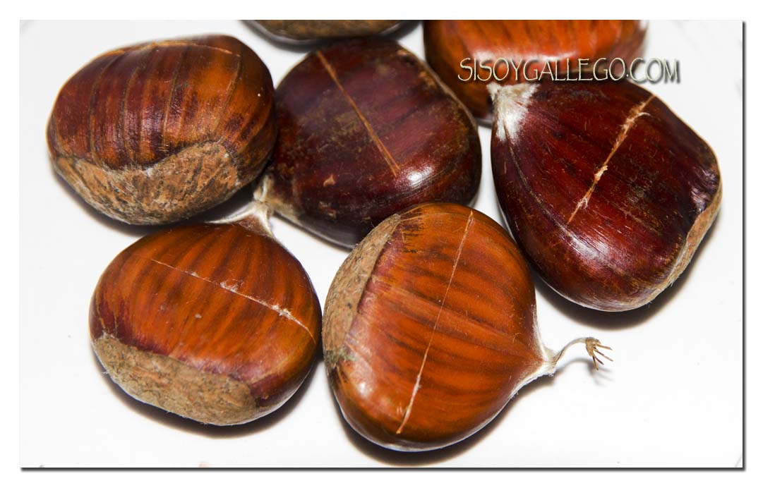 17_castanas-con-corte