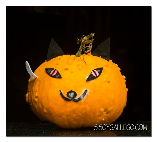 img_0282-calabaza