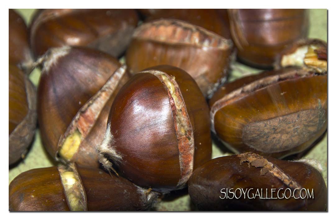 img_0511-castanas-asadas