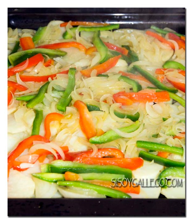 img_1529-cama-para-besugo-blog