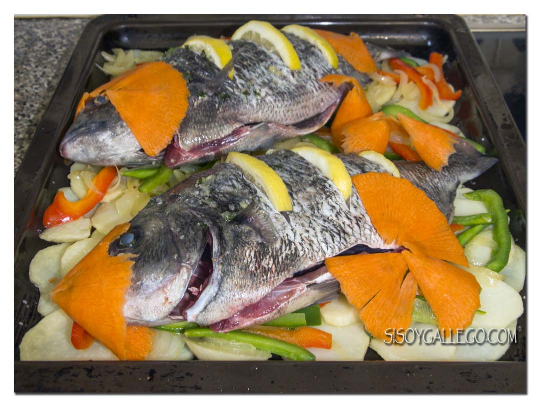 img_1531-sargos-listos-para-horno