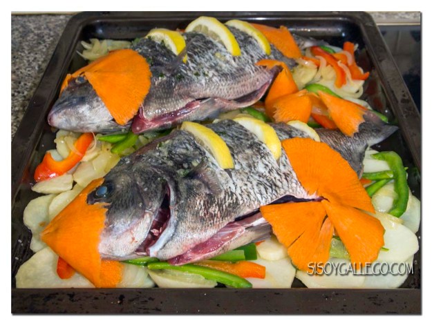 img_1531-sargos-listos-para-horno