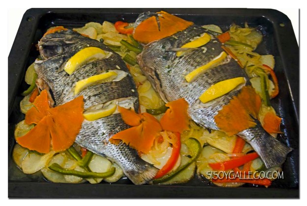 img_1571-sargo-al-horno-blog