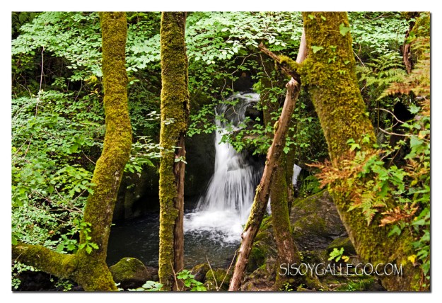 08_Fragas.do.Eume.1024.blog.