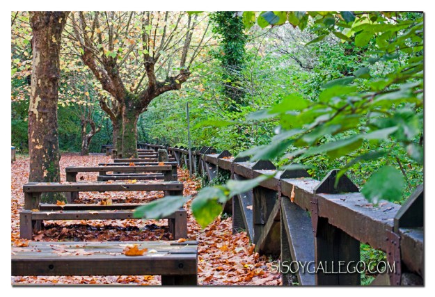 18_Fragas.do.Eume.1024.blog.