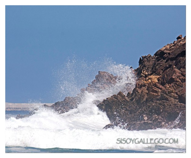 36_Olas y Pescador