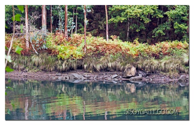 77_Fragas.do.Eume.1024.Blog.