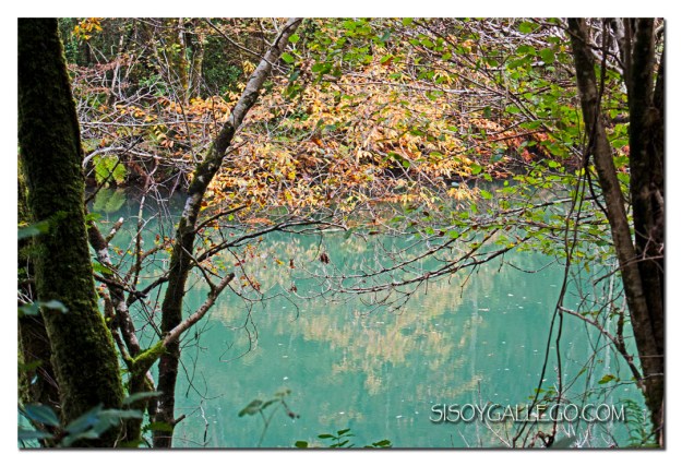 87_Fragas.do.Eume.1024.blog.