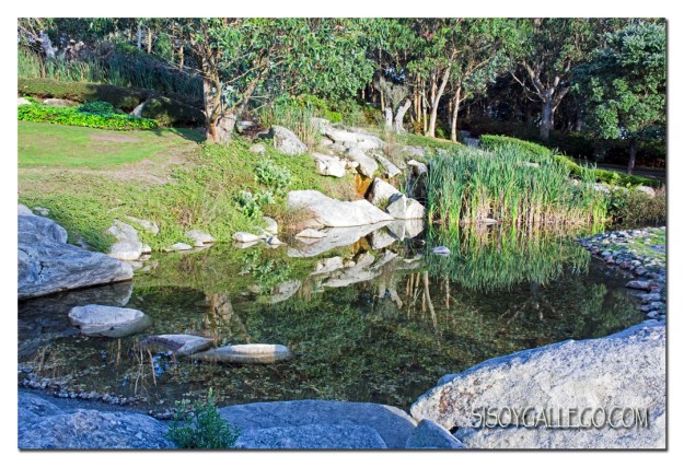 Estanque Monte S. Pedro