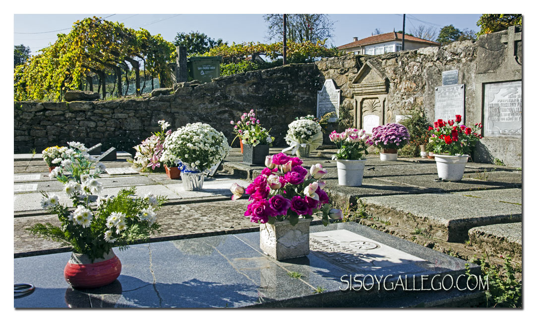 IMG_Flores Dia de Difuntos