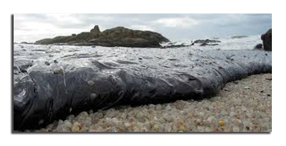 Prestige Fueloleo en playa.