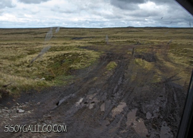 IMG_6618.Baches de barro.