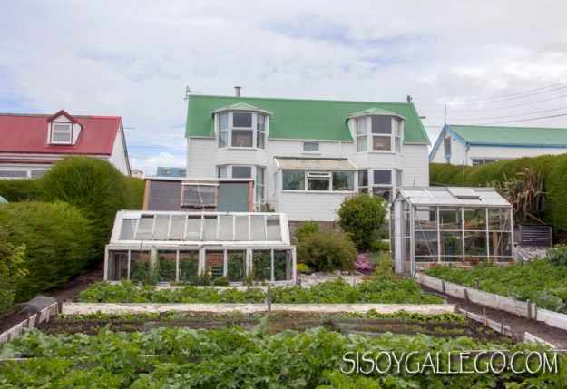 IMG_6644.Malvinas.Falkland