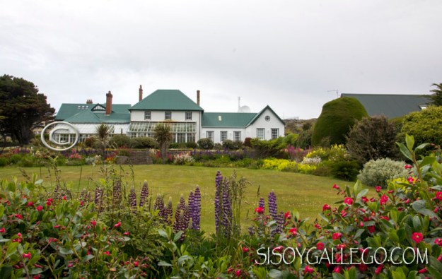 IMG_6684.Malvinas.Falkland