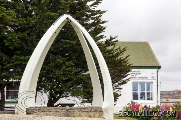 IMG_6798.Mandibulas.Ballenas.Falkland.