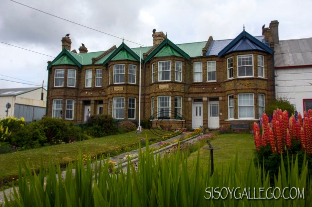 IMG_6815.Jubilee.houses.Falkland.