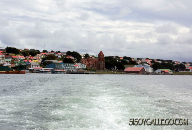 IMG_6839.Falkland.Malvinas