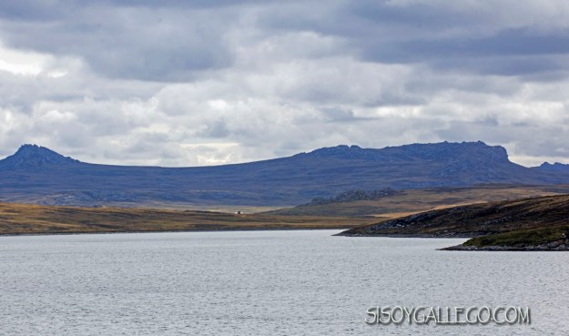 IMG_6940.Falkland.Malvinas.