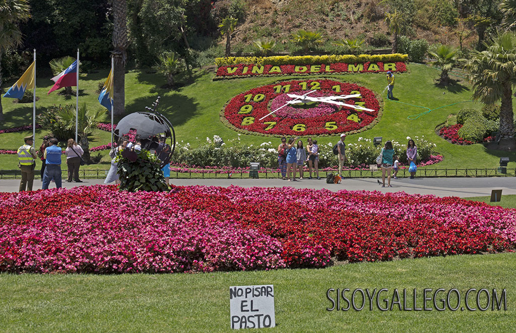 6.Reloj Floral Viña del Mar.