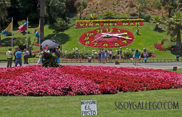 6.Reloj Floral Viña del Mar.