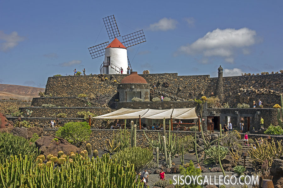 05.-Jardin Cactus.