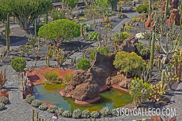 46.-Jardin Cactus