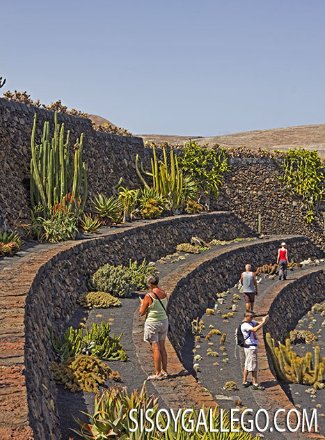 62.-Jardin Cactus