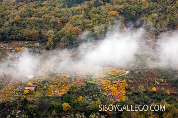 03..-Ribeira Sacra