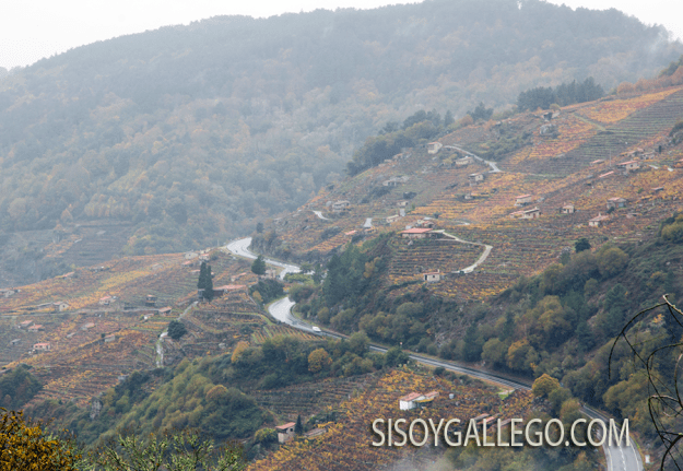 04..-Ribeira Sacra