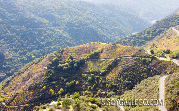06_Ribeira.Sacra
