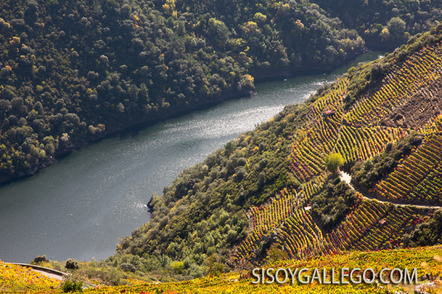 12_Ribeira.Sacra